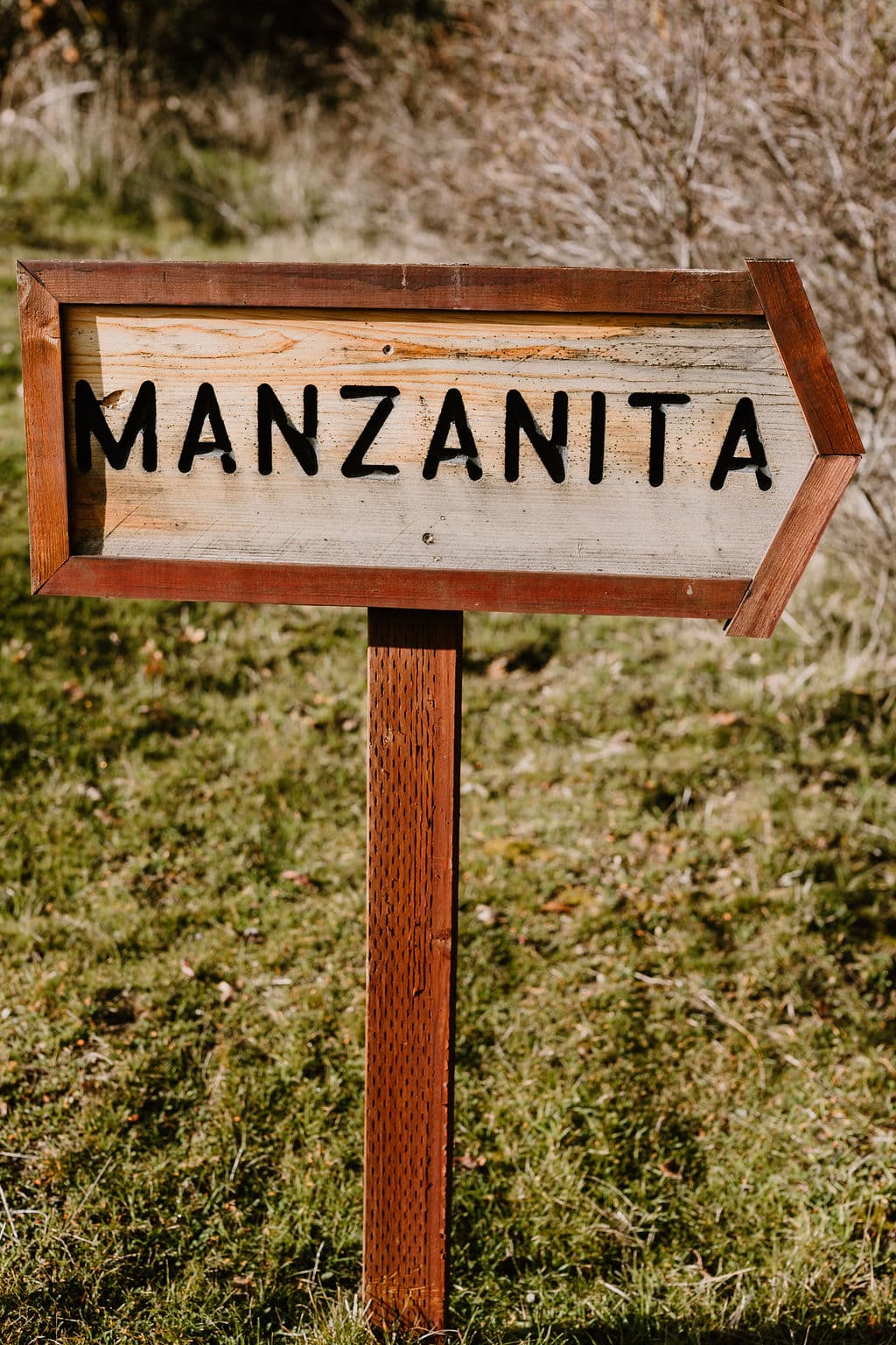Manzanita 3